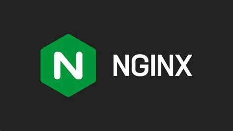 nginx 多域名访问多端口应用